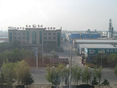 集團(tuán)總部廠區(qū)鳥(niǎo)瞰圖